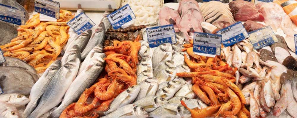 Produk Seafood untuk Ekspor | Potensi Hasil Laut Indonesia